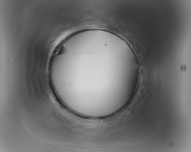 X0000115080008200911171205