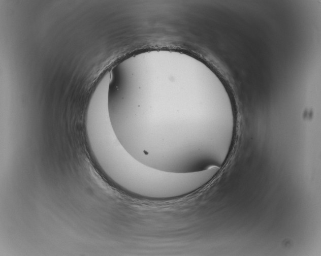X0000115080009200911171205