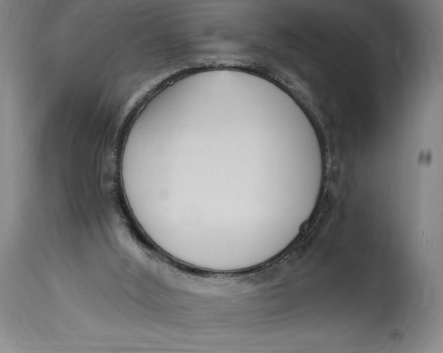 X0000115080012200911171205