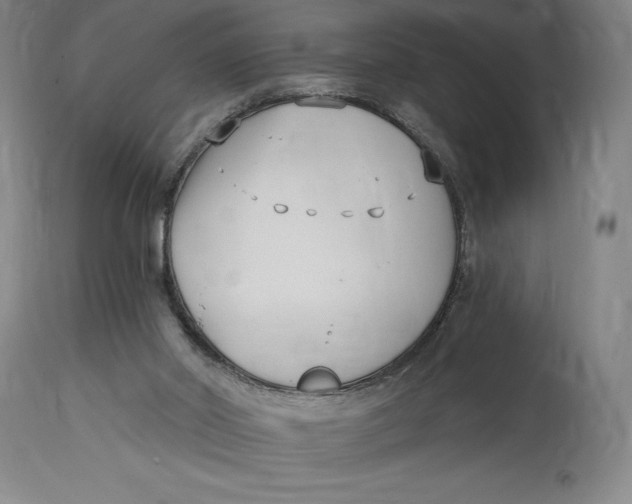 X0000115080014200911171204