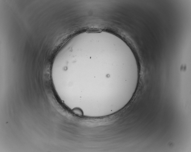 X0000115080017200911171204