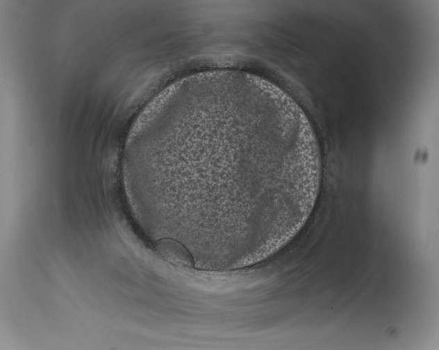 X0000115080018200911171204