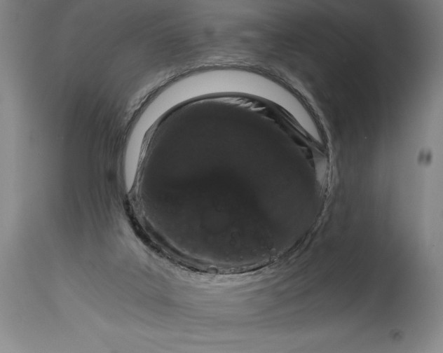 X0000115080019200911171204