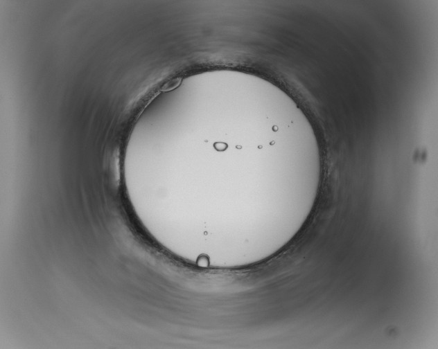 X0000115080020200911171204