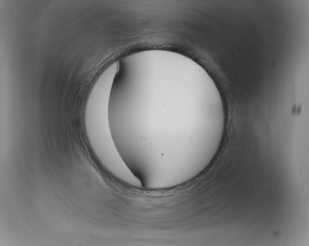 X0000115080021200911171204