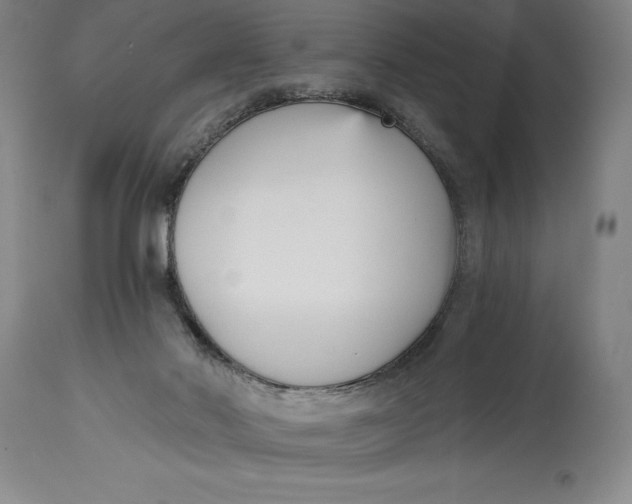 X0000115080022200911171204