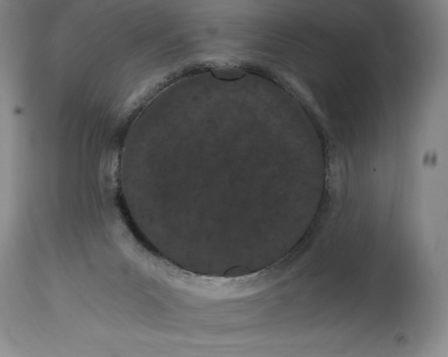 X0000115080023200911171204