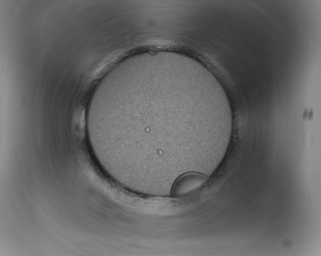 X0000115080024200911171204