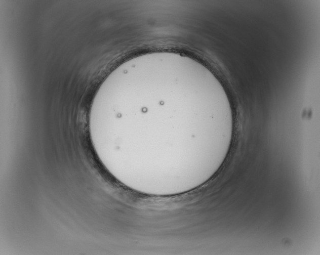 X0000115080025200911171204