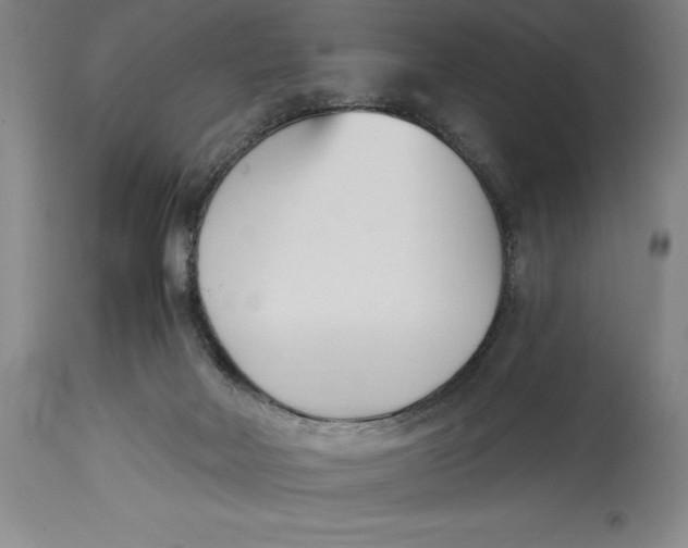 X0000115080026200911171204