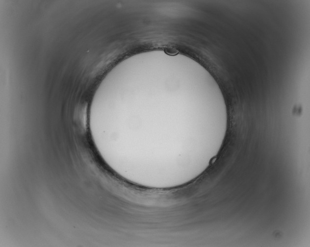 X0000115080028200911171204