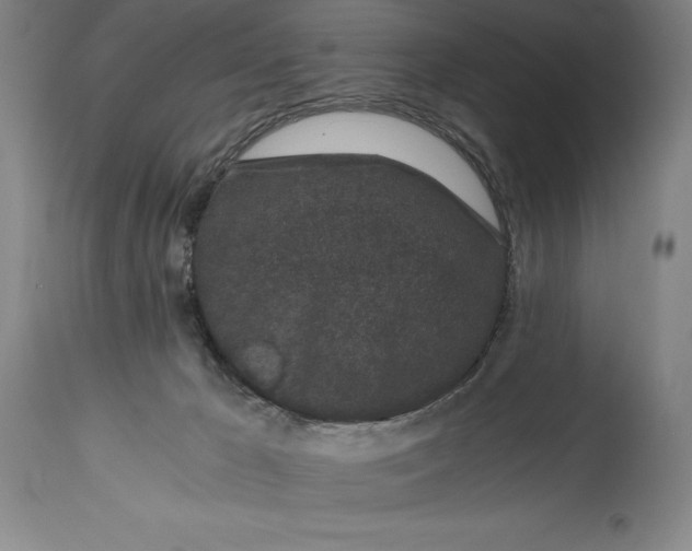 X0000115080029200911171204