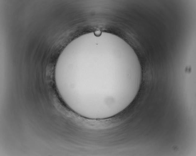 X0000115080030200911171204