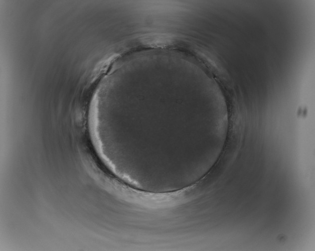 X0000115080031200911171204