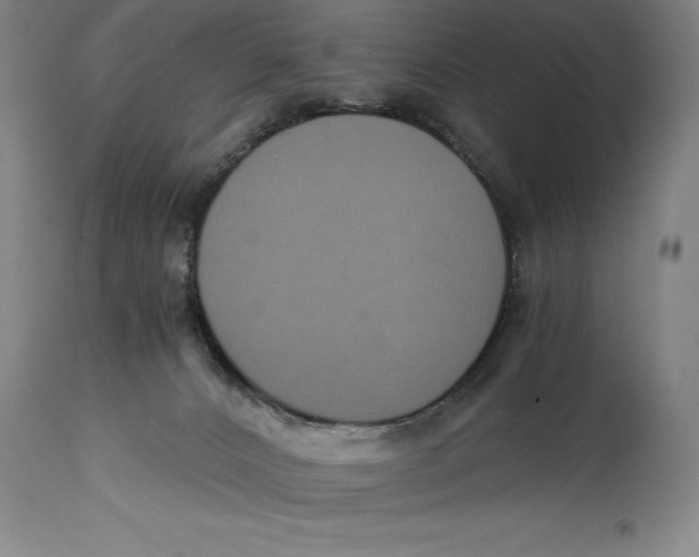 X0000115080032200911171204