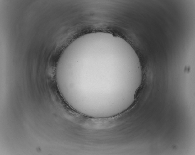 X0000115080033200911171204