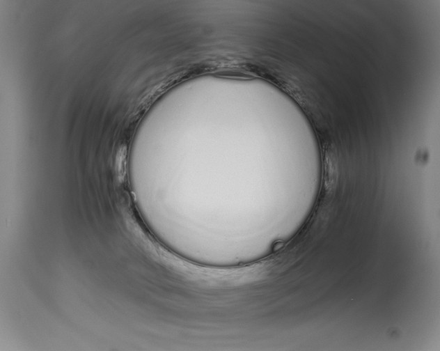X0000115080034200911171204