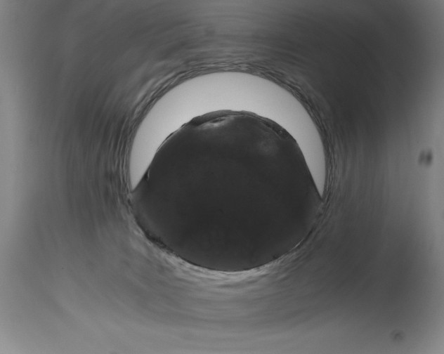 X0000115080035200911171204