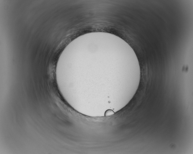 X0000115080038200911171204
