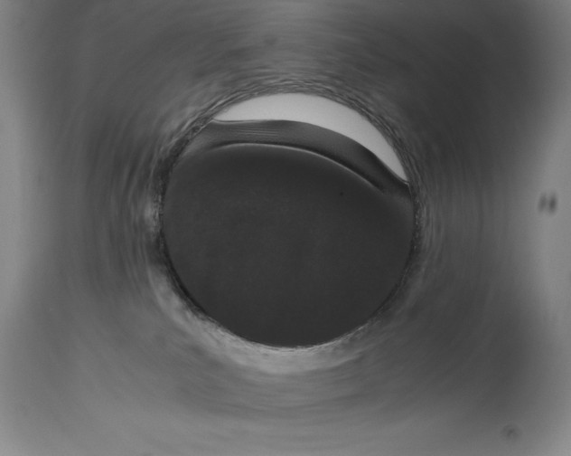X0000115080039200911171204