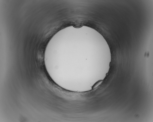 X0000115080040200911171204