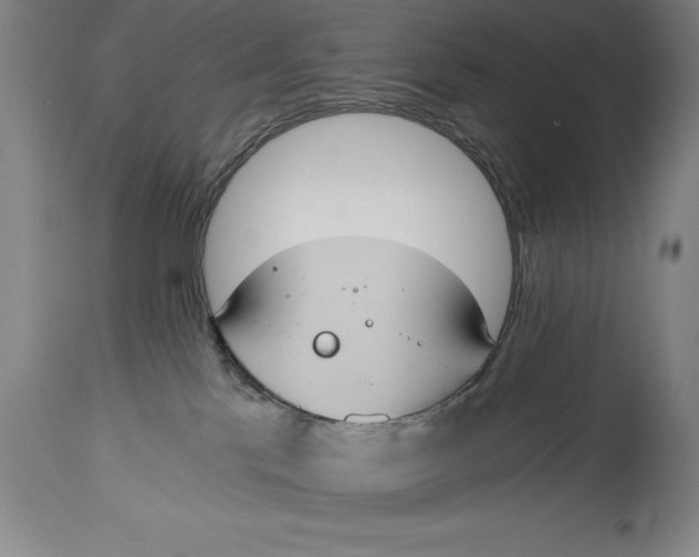X0000115080041200911171204