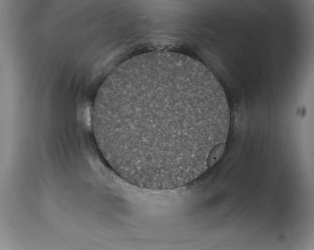 X0000115080042200911171204