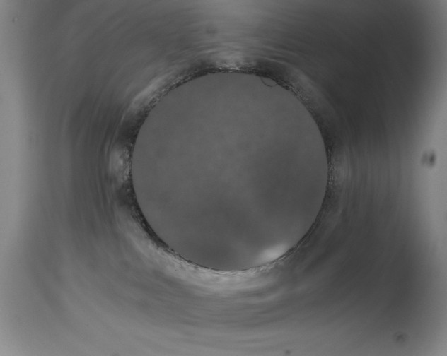X0000115080043200911171204