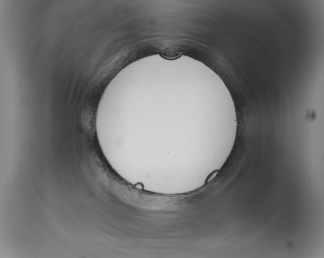 X0000115080044200911171204