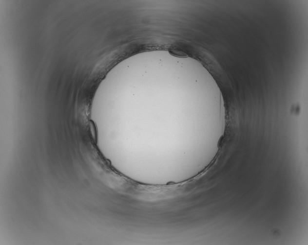X0000115080045200911171204