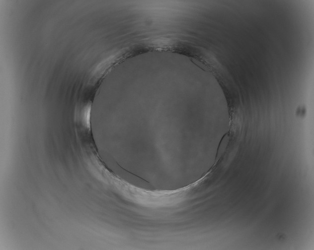 X0000115080047200911171204