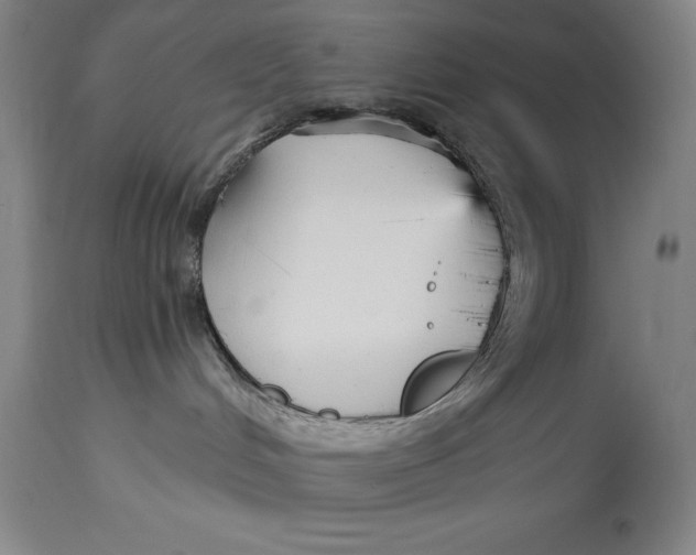 X0000115080048200911171204