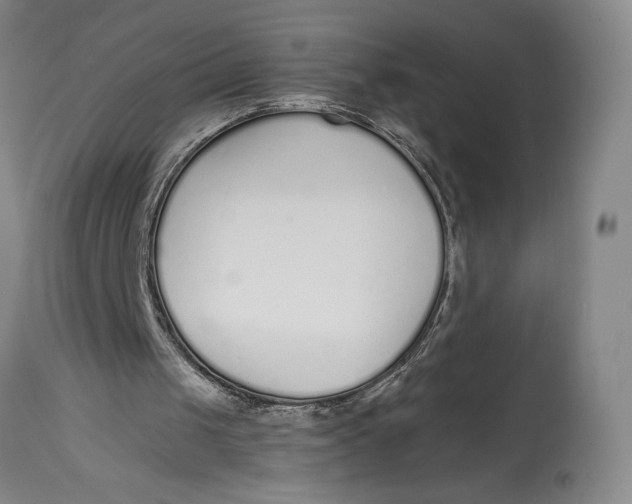 X0000115080049200911171203