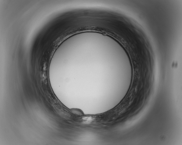 X0000115080050200911171203