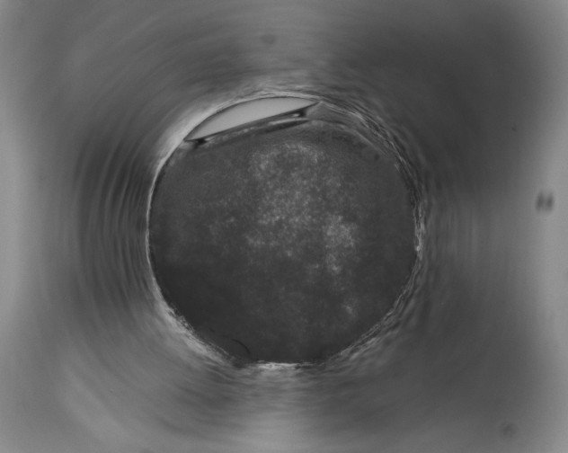 X0000115080052200911171203
