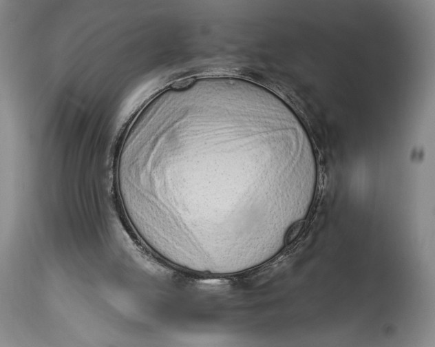 X0000115080053200911171203