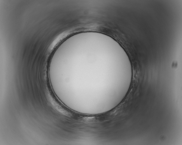 X0000115080054200911171203