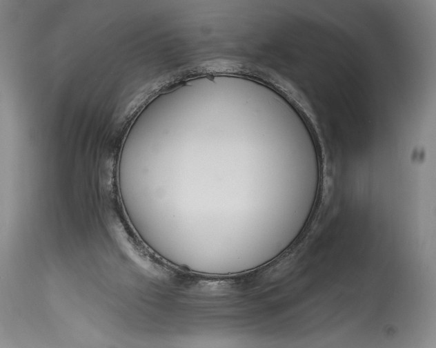 X0000115080057200911171203