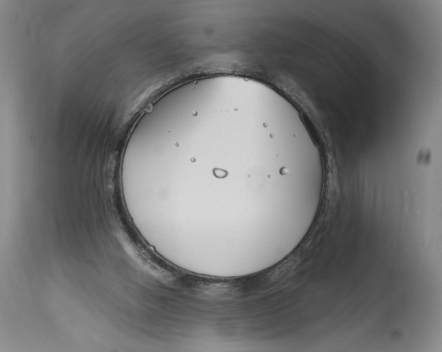 X0000115080058200911171203