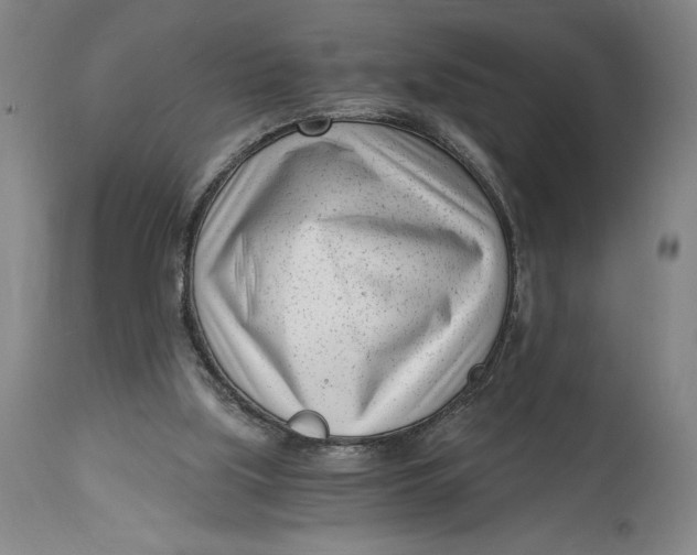 X0000115080059200911171203