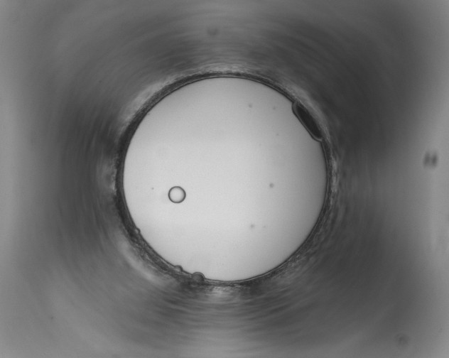 X0000115080060200911171203