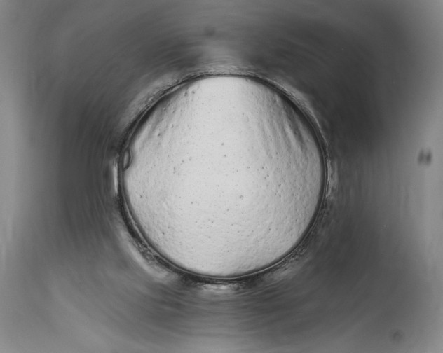 X0000115080061200911171203