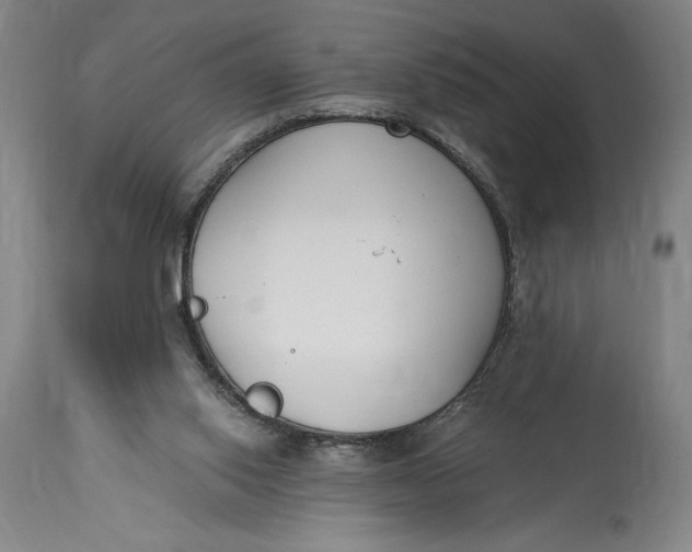 X0000115080062200911171204