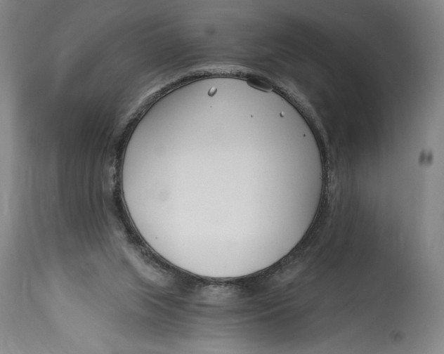X0000115080063200911171204