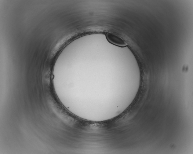 X0000115080064200911171204