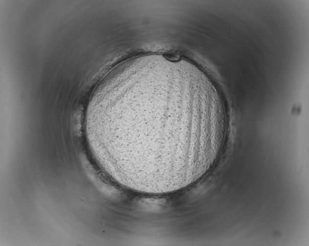 X0000115080065200911171204