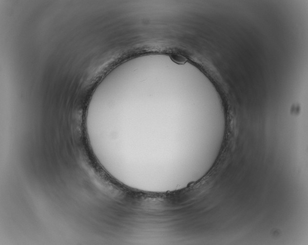 X0000115080066200911171204