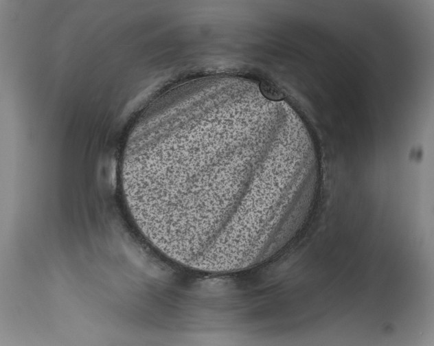 X0000115080067200911171204
