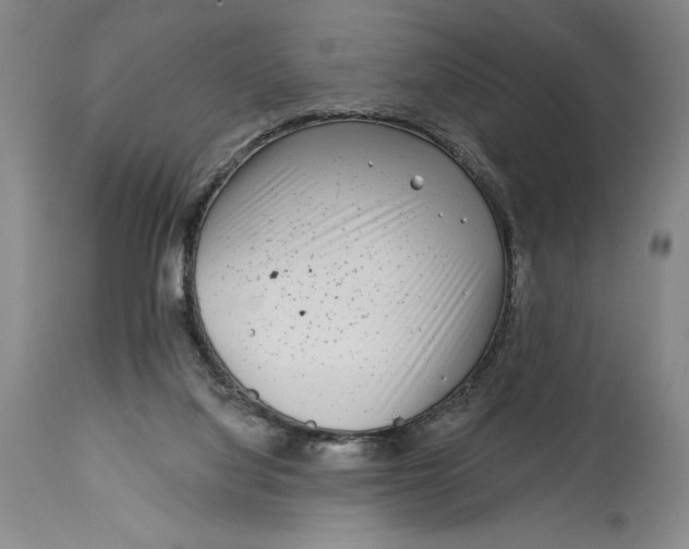 X0000115080068200911171204
