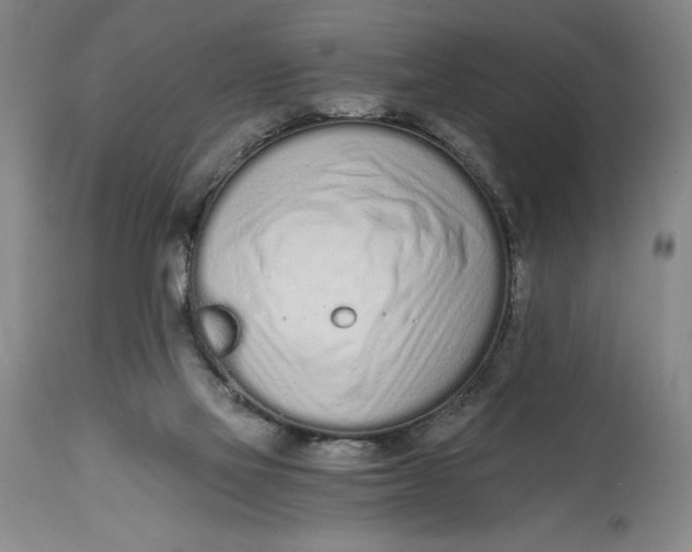 X0000115080069200911171204